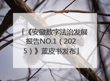 《安徽数字法治发展报告NO.1（2025）》蓝皮书发布