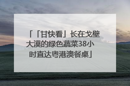 「甘快看」长在戈壁大漠的绿色蔬菜38小时直达粤港澳餐桌