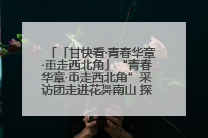 「甘快看·青春华章·重走西北角」“青春华章·重走西北角”采访团走进花舞南山 探寻天水乡村振兴之路