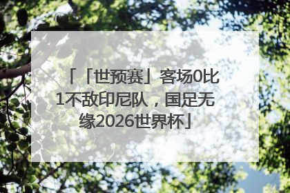 「世预赛」客场0比1不敌印尼队，国足无缘2026世界杯