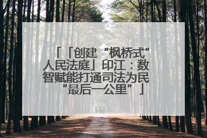「创建“枫桥式”人民法庭」印江：数智赋能打通司法为民“最后一公里”