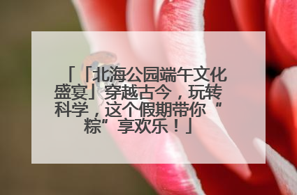 「北海公园端午文化盛宴」穿越古今，玩转科学，这个假期带你“粽”享欢乐！