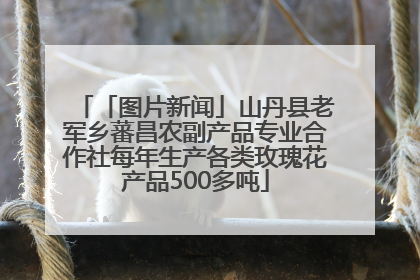 「图片新闻」山丹县老军乡蕃昌农副产品专业合作社每年生产各类玫瑰花产品500多吨