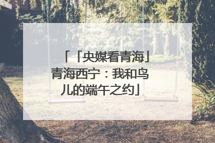 「央媒看青海」青海西宁：我和鸟儿的端午之约