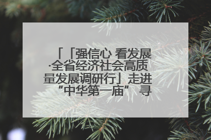 「强信心 看发展·全省经济社会高质量发展调研行」走进“中华第一庙” 寻根伏羲 祭祖龙城