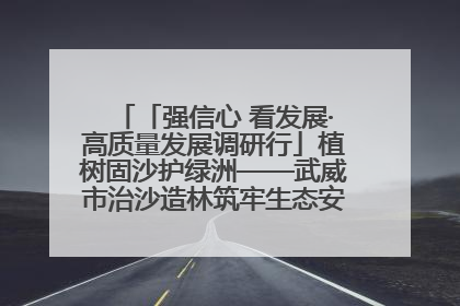「强信心 看发展·高质量发展调研行」植树固沙护绿洲——武威市治沙造林筑牢生态安全屏障见闻