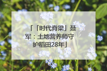 「时代脊梁」聂军：土地营养师守护稻田28年