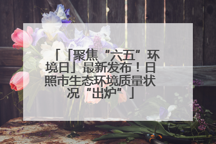 「聚焦“六五”环境日」最新发布！日照市生态环境质量状况“出炉”