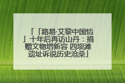 「路易·艾黎中国情」十年后再访山丹：捐赠文物增新容 四坝滩遗址诉说历史沧桑
