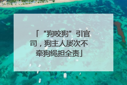 “狗咬狗”引官司，狗主人屡次不牵狗绳担全责