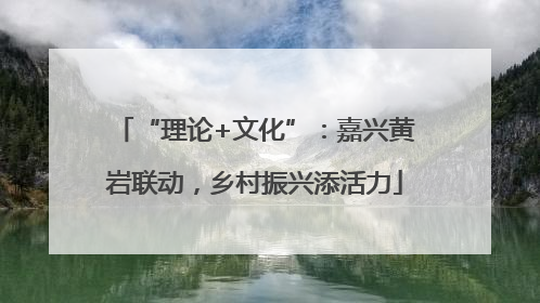 “理论+文化”：嘉兴黄岩联动，乡村振兴添活力