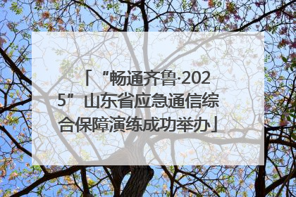 “畅通齐鲁·2025”山东省应急通信综合保障演练成功举办