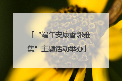 “端午安康香邻雅集”主题活动举办