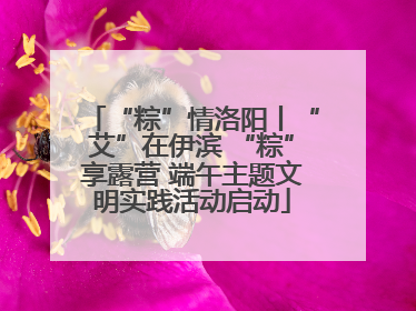 “粽”情洛阳丨“艾”在伊滨 “粽”享露营 端午主题文明实践活动启动