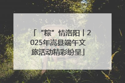 “粽”情洛阳丨2025年嵩县端午文旅活动精彩纷呈