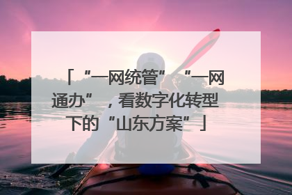 “一网统管”“一网通办”，看数字化转型下的“山东方案”