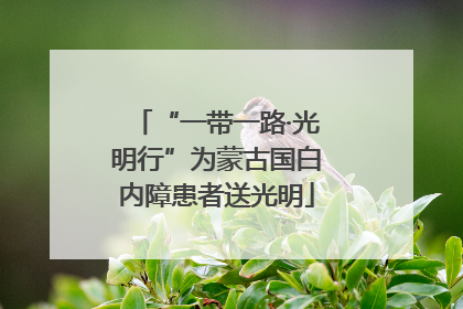 “一带一路·光明行”为蒙古国白内障患者送光明