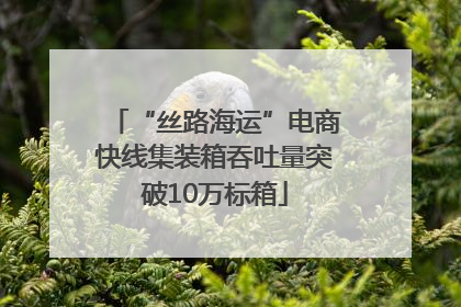 “丝路海运”电商快线集装箱吞吐量突破10万标箱