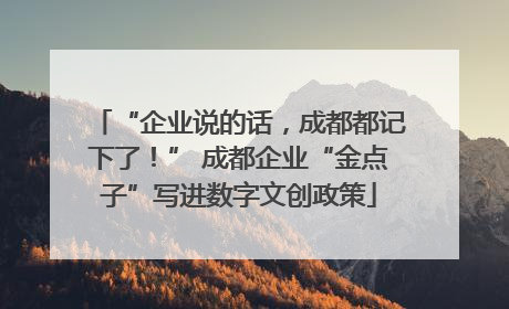 “企业说的话，成都都记下了！” 成都企业“金点子”写进数字文创政策