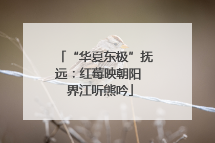 “华夏东极”抚远：红莓映朝阳 界江听熊吟