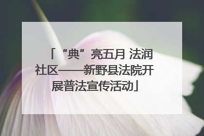 “典”亮五月 法润社区——新野县法院开展普法宣传活动