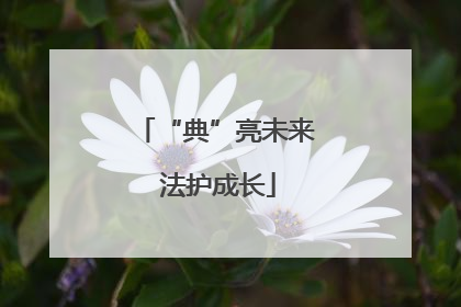 “典”亮未来 法护成长