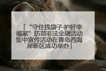“守住钱袋子·护好幸福家”防范非法金融活动集中宣传活动在青岛西海岸新区成功举办
