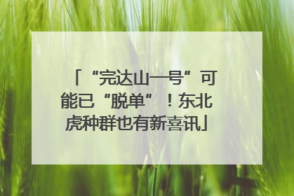 “完达山一号”可能已“脱单”！东北虎种群也有新喜讯