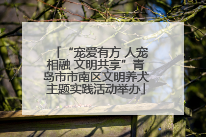“宠爱有方 人宠相融 文明共享”青岛市市南区文明养犬主题实践活动举办