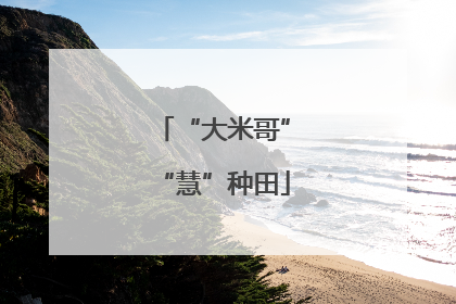 “大米哥”“慧”种田