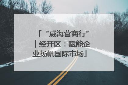 “威海营商行”｜经开区：赋能企业扬帆国际市场