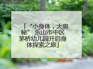 “小身体，大奥秘” 乐山市中区茅桥幼儿园开启身体探索之旅