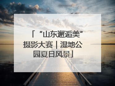 “山东邂逅美”摄影大赛｜湿地公园夏日风景
