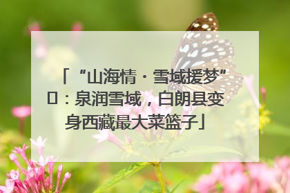 “山海情・雪域援梦”⑪：泉润雪域，白朗县变身西藏最大菜篮子