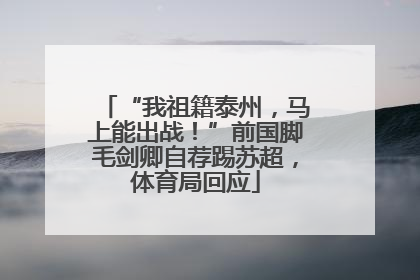 “我祖籍泰州，马上能出战！”前国脚毛剑卿自荐踢苏超，体育局回应