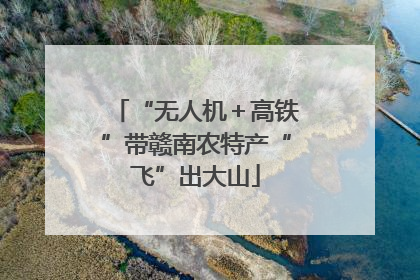 “无人机＋高铁”带赣南农特产“飞”出大山