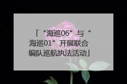 “海巡06”与“海巡01”开展联合编队巡航执法活动