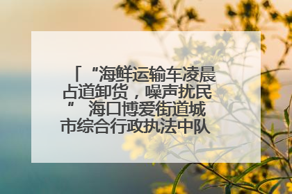 “海鲜运输车凌晨占道卸货，噪声扰民” 海口博爱街道城市综合行政执法中队：将联合交警加强长堤路一带巡逻