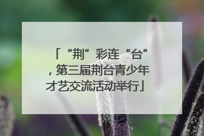 “荆”彩连“台”，第三届荆台青少年才艺交流活动举行