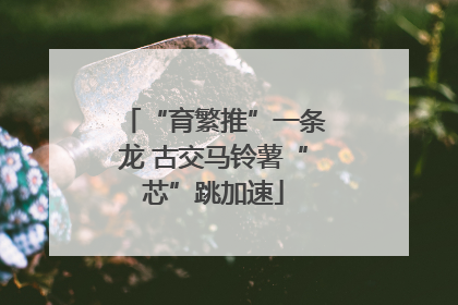“育繁推”一条龙 古交马铃薯“芯”跳加速