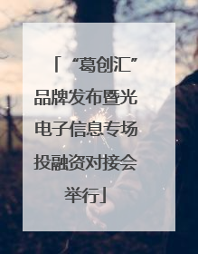 “葛创汇”品牌发布暨光电子信息专场投融资对接会举行