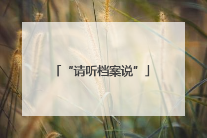 “请听档案说”