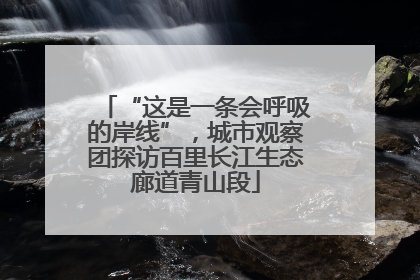 “这是一条会呼吸的岸线”，城市观察团探访百里长江生态廊道青山段