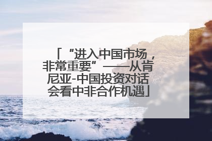 “进入中国市场，非常重要”——从肯尼亚-中国投资对话会看中非合作机遇
