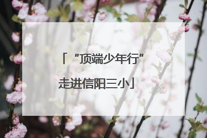 “顶端少年行”走进信阳三小