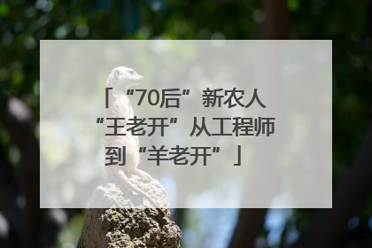 “70后”新农人“王老开”从工程师到“羊老开”