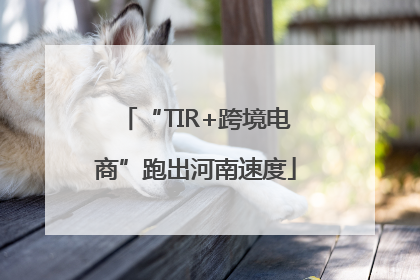 “TIR+跨境电商”跑出河南速度