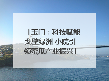 玉门：科技赋能戈壁绿洲 小院引领蜜瓜产业振兴