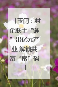 玉门：村企联手“链”出亿元产业 解锁共富“蜜”码