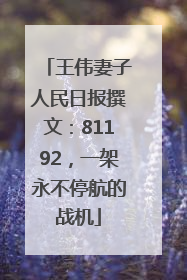 王伟妻子人民日报撰文：81192，一架永不停航的战机